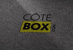 tapis-daccueil-floquer-flocage-avec-logo-pour-stand-berre-letang